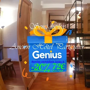 Semi-duplex Ancien Particulier Appartement Bourg-en-Bresse